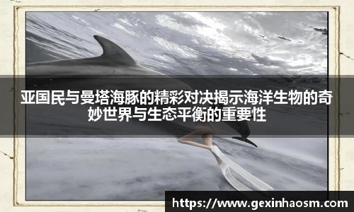 亚国民与曼塔海豚的精彩对决揭示海洋生物的奇妙世界与生态平衡的重要性
